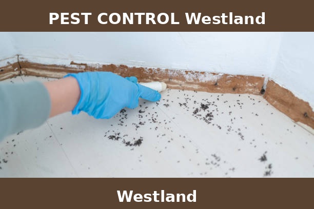 PEST CONTROL Westland